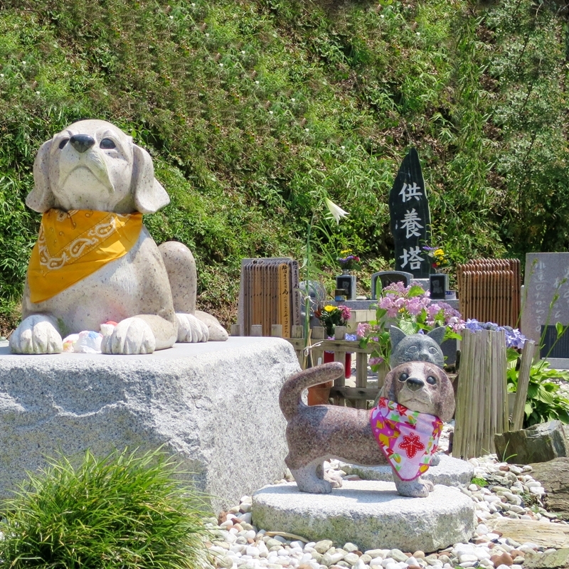 愛知県ペットの菩提寺（ペット永代供養、ペット納骨、ペット火葬）